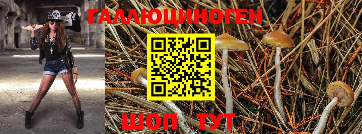Псилоцибиновые грибы Magic Shrooms  Вход с VPN  Буйнакск 